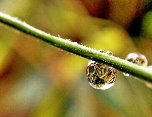 听雨