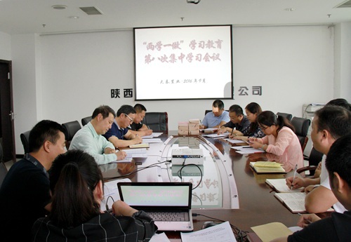 大秦置业公司 ：“三个三”引领“两学一做”学习教育常态化制度化  蓄力“双特百亿”勇争先