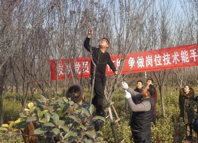 发挥党员先锋模范作用  上好园林技能必修课