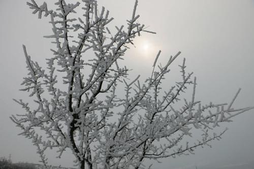 庙山踏雪