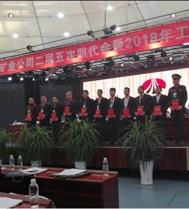 澄合分公司奋斗成果“遍地摘”