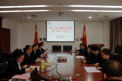 大秦置业公司：紧严并举开好党支部2017年度专题组织生活会暨双评工作会