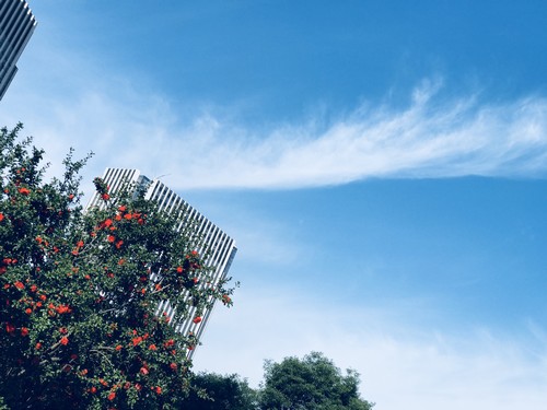 碧空万里