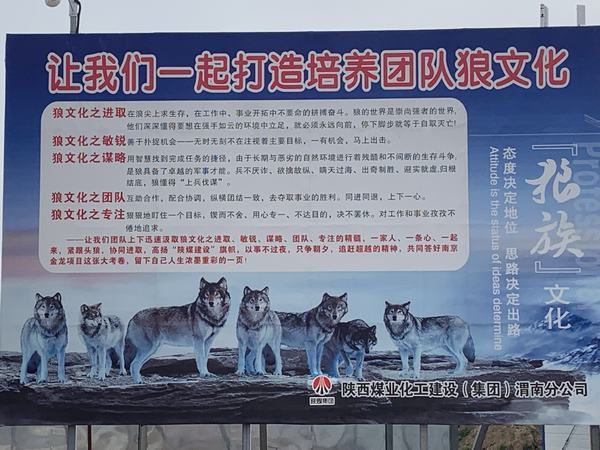 陕煤建设渭南分公司南京金龙项目部强堡垒 助发展
