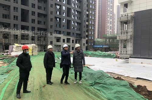 中国建筑标准设计研究院总建筑师刘东卫莅临蓝山水岸项目参观指导考察