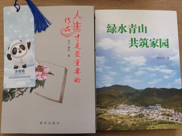 愿你如书