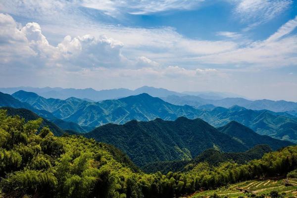 轻绕山岚中 心悦尽陶然