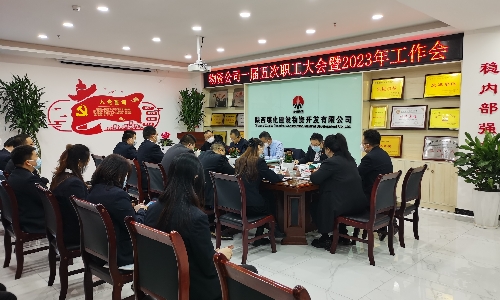 顺势作为 砥砺前行 为持续高质量发展团结奋进