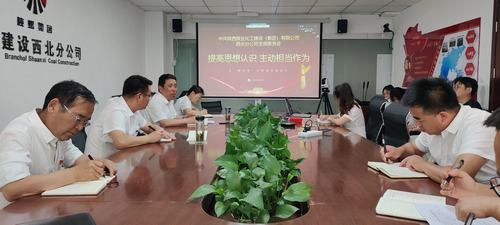 陕煤建设西北分公司开展“善作为”主题党日活动