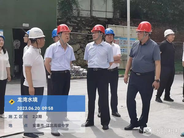 司正林在龙湾水境项目检查指导工作