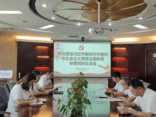 内蒙古分公司组织召开主题教育专题组织生活会