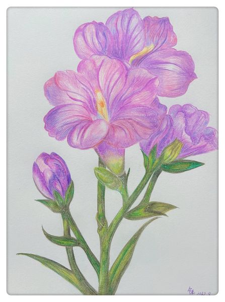 花绘梦语 自然彩绘