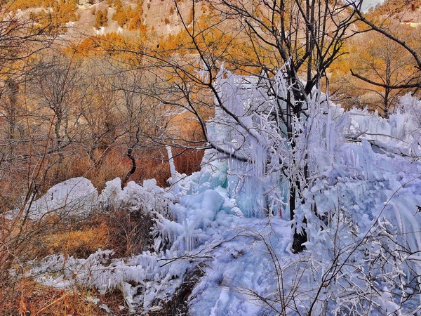 雪舞冬梦