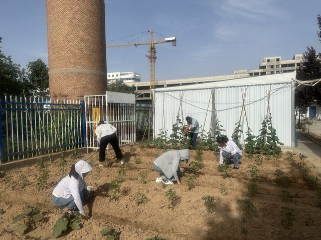 陕煤建设韩城分公司土建六项目部：打造美丽的“花园”角落