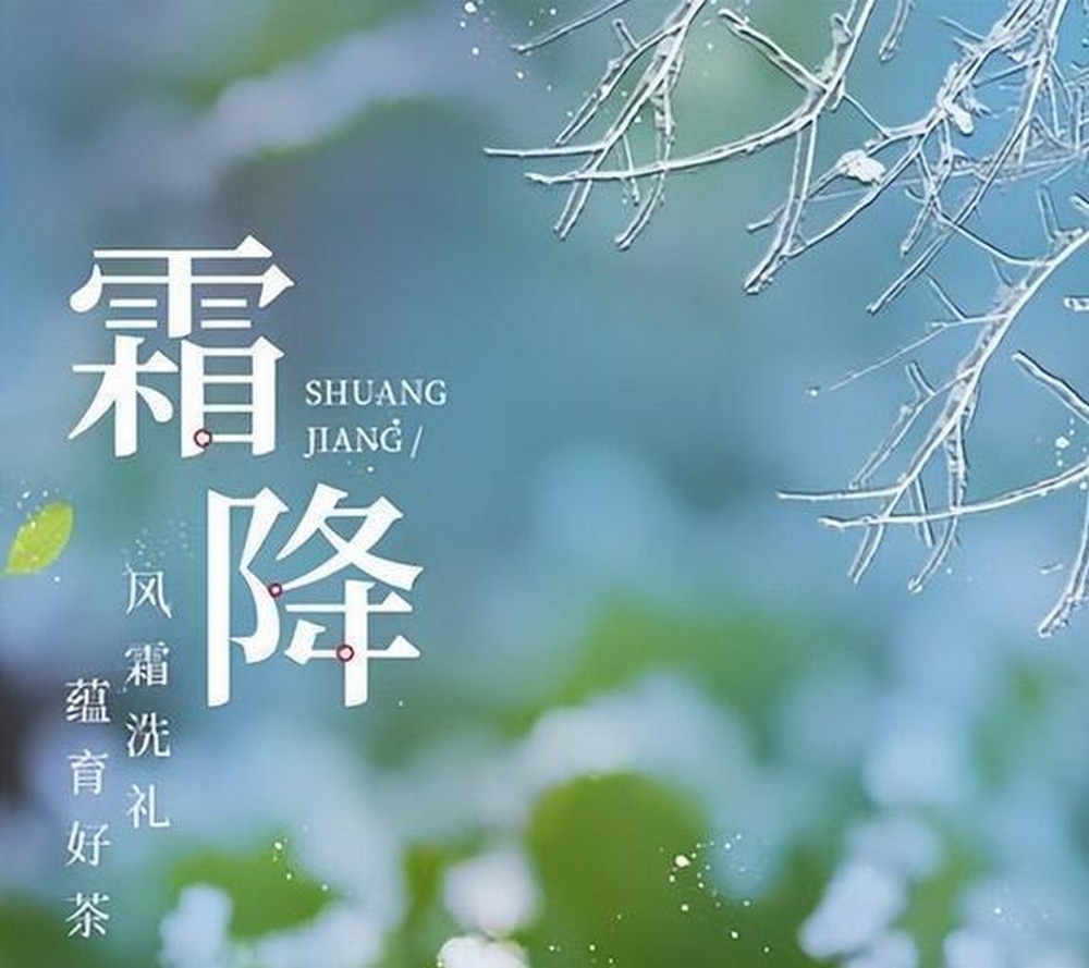 霜降：秋的告别式