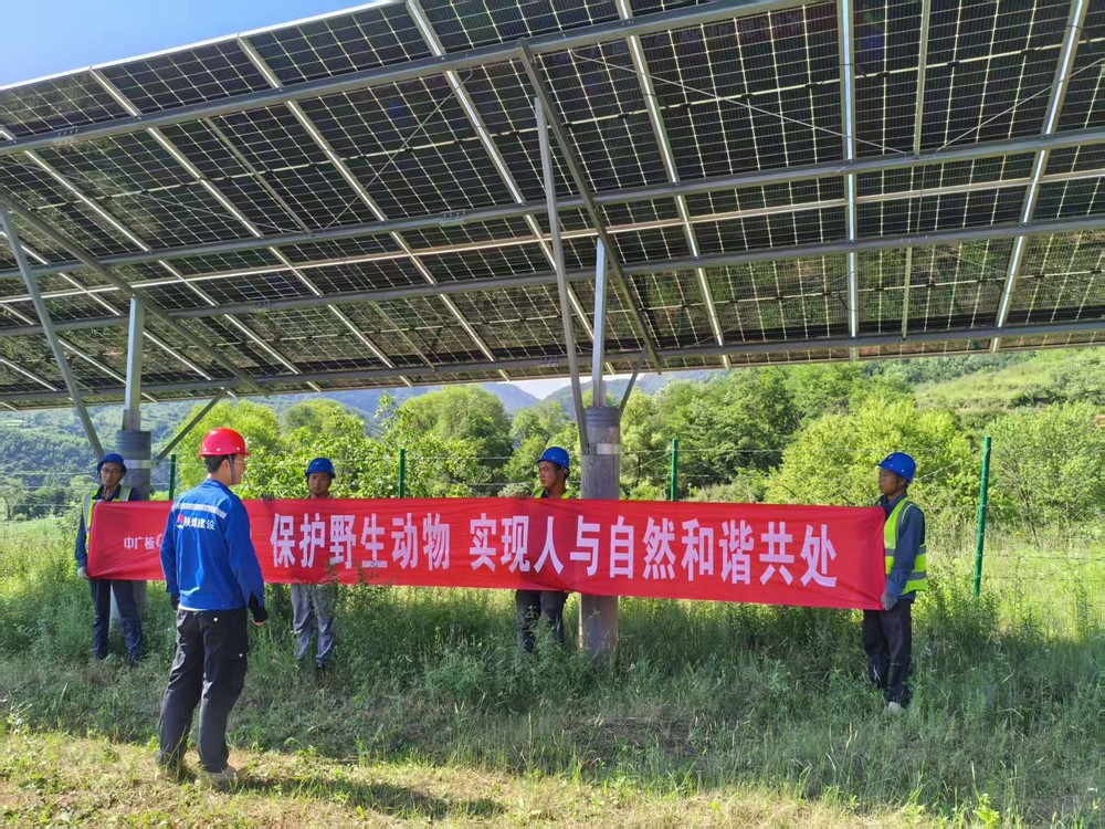 陕煤建设西北分公司机电安装项目部：为野生动物撑起“生态保护伞”