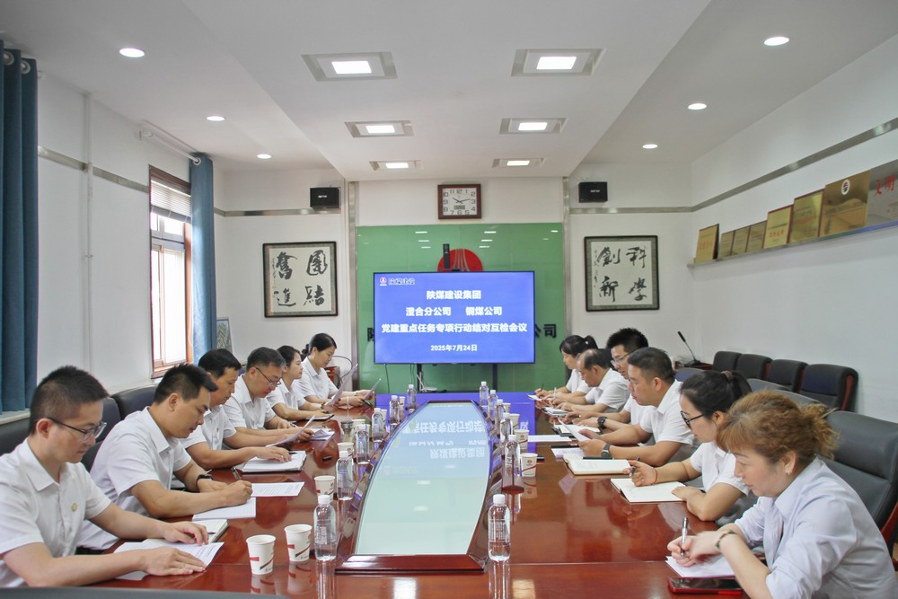 陕煤建设铜煤公司与澄合分公司：结对互检共促党群工作提质增效