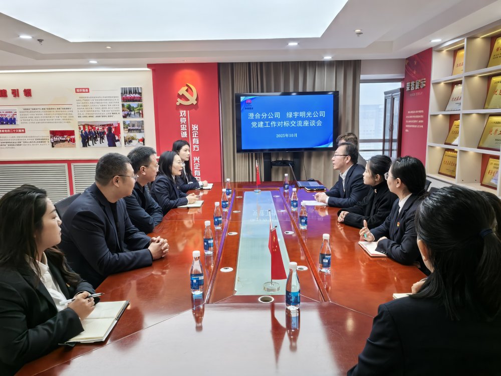党建互鉴强堡垒 协同赋能谱新篇