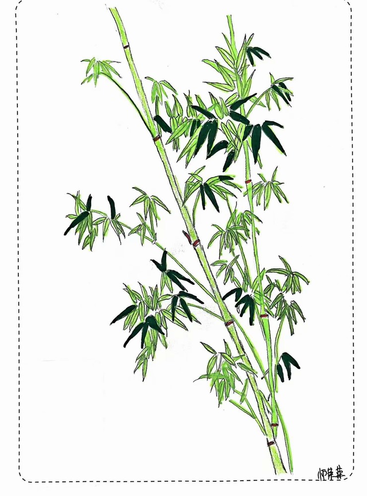 漫说廉洁！这组“草木廉盟”太可了