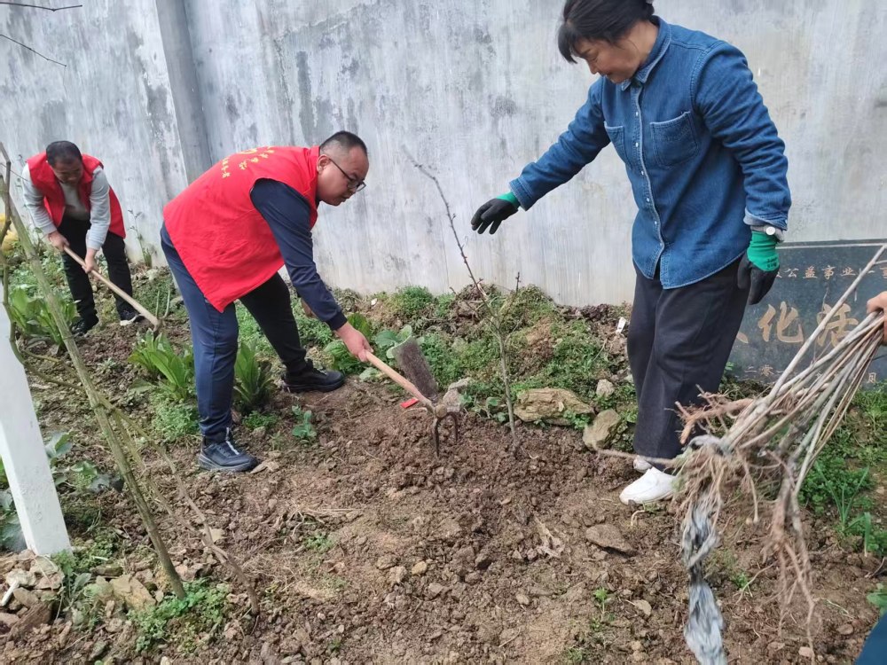陕煤建设煤矿运营服务分公司：驻村干部显担当 宣传赋能促振兴