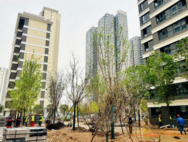 礼赞劳动筑匠心  青春奋进建新功