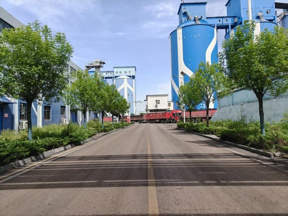 陕煤建设洗选煤运营公司：聚力六五环境日 多点发力绘就绿色新画卷